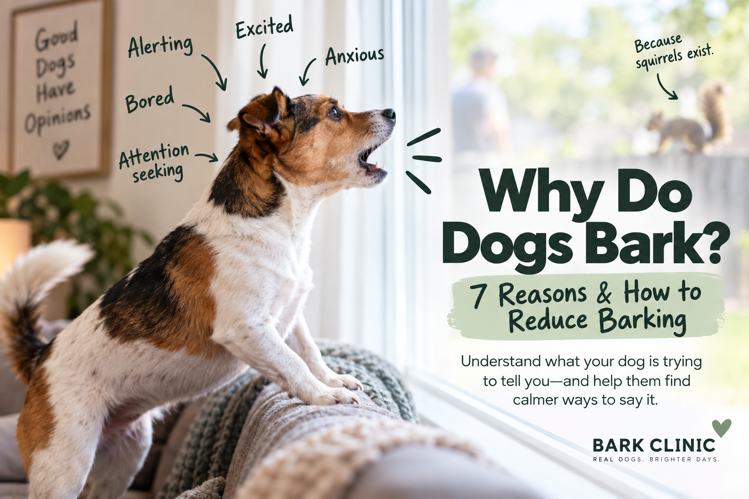 Why Do Dogs Bark? 7 Reasons & How to Reduce Barking