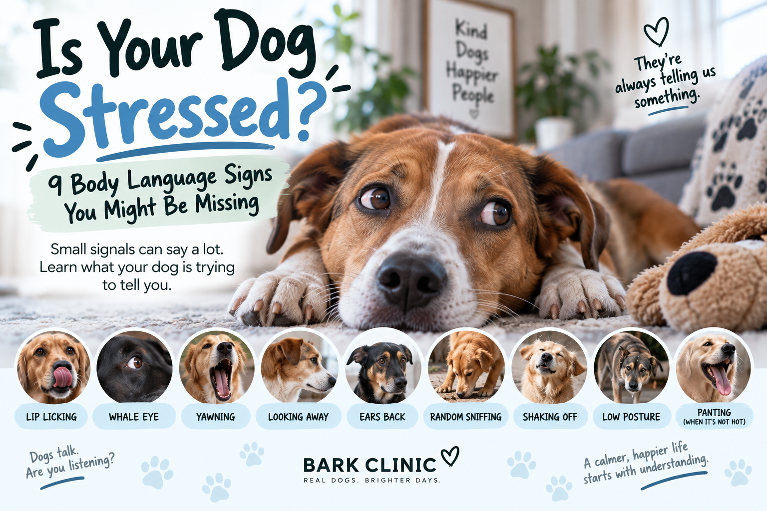 A stressed out dog showing nine body language signs its owners may be missing